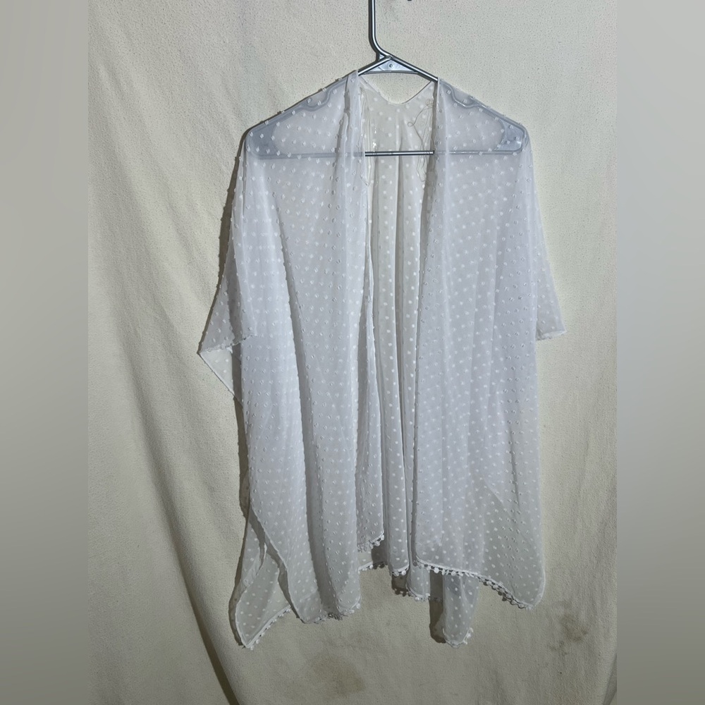 Warehouse One Sheer PolkaDot